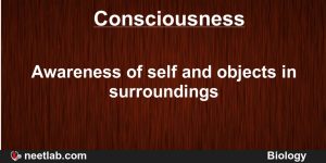 consciousness in organisms