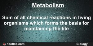 Metabolism in orgamisms