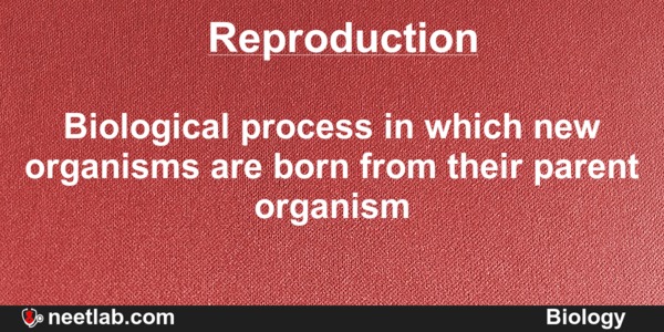 Reproduction in organisms