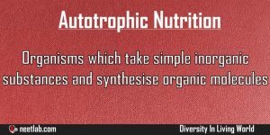 Autotrophic Nutrition Diversity In Living World Explanation