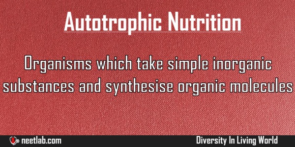 Autotrophic Nutrition Diversity In Living World Explanation 