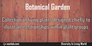 Botanical Garden Diversity In Living World Explanation