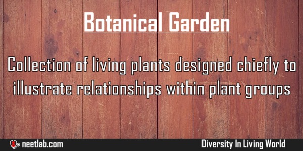 Botanical Garden Diversity In Living World Explanation 