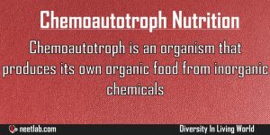 Chemoautotroph Nutrition Diversity In Living World Explanation
