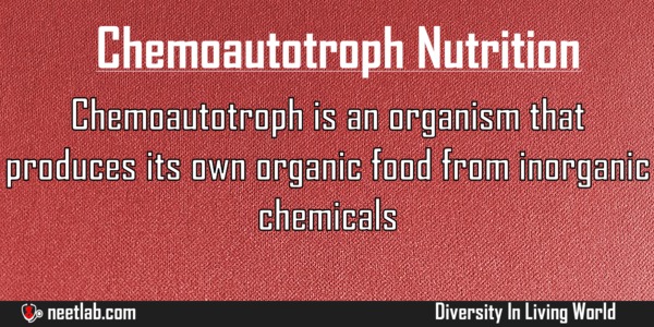 Chemoautotroph Nutrition Diversity In Living World Explanation 