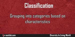 Classification Diversity In Living World Explanation