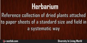 Herbarium Diversity In Living World Explanation