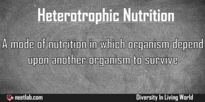 Heterotrophic Nutrition Diversity In Living World Explanation