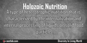 Holozoic Nutrition Diversity In Living World Explanation