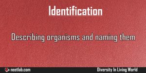 Identification Diversity In Living World Explanation