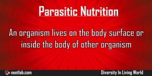 Parasitic Nutrition Diversity In Living World Explanation
