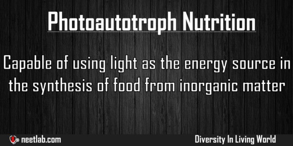 Photoautotroph Nutrition Diversity In Living World Explanation 