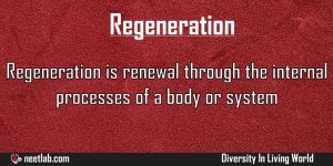 Regeneration Asexual Reproduction Type Diversity In Living World Explanation