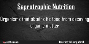 Saprotrophic Nutrition Diversity In Living World Explanation