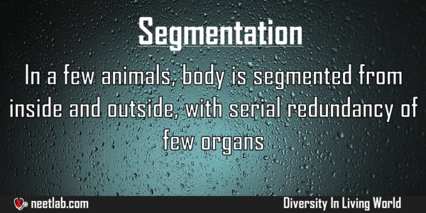 Segmentation In Organisms Diversity In Living World Explanation 