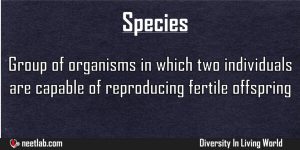 Species Diversity In Living World Explanation