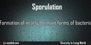 Sporulation Diversity In Living World Explanation
