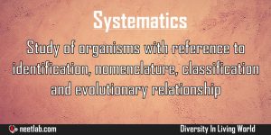 Systematics Diversity In Living World Explanation