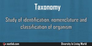 Taxonomy Diversity In Living World Explanation