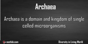 Archaea Domain Diversity In Living World Explanation