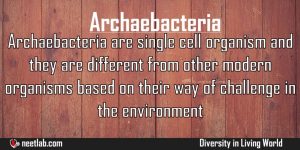 Archaebacteria Diversity In Living World Explanation