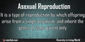 Asexual Reproduction Diversity In Living World Explanation