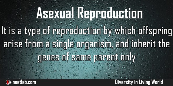 Asexual Reproduction Diversity In Living World Explanation 