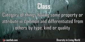 Class Diversity In Living World Explanation