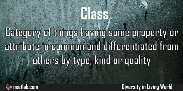 Class Diversity In Living World Explanation 