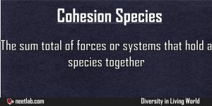 Cohesion Species Diversity In Living World Explanation