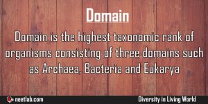 Domain Diversity In Living World Explanation