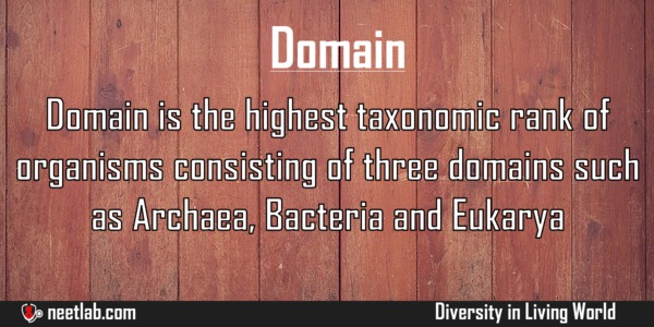 Domain Diversity In Living World Explanation 