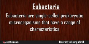 Eubacteria Diversity In Living World Explanation