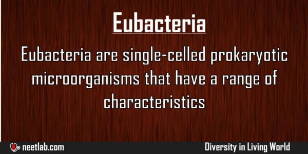 Eubacteria Diversity In Living World Explanation 