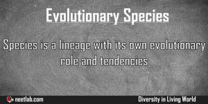 Evolutionary Species Diversity In Living World Explanation