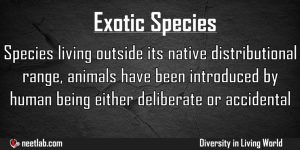 Exotic Species Diversity In Living World Explanation