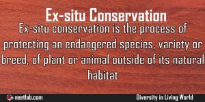 Exsitu Conservation Diversity In Living World Explanation