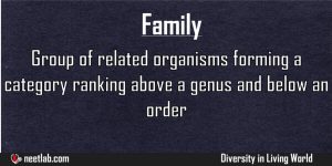 Family Diversity In Living World Explanation