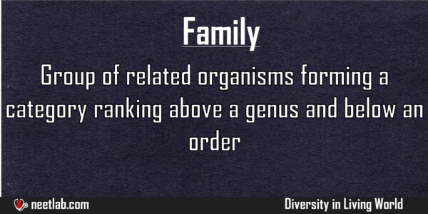 Family Diversity In Living World Explanation 