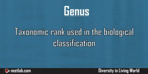 Genus Diversity In Living World Explanation