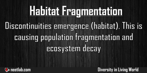Habitat Fragmentation Diversity In Living World Explanation 