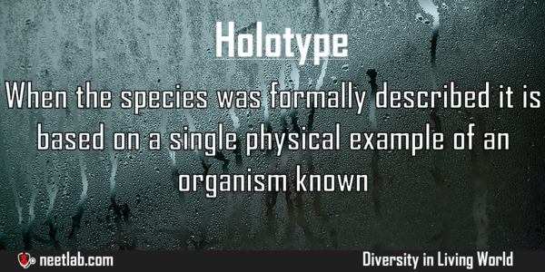 Holotype Diversity In Living World Explanation 