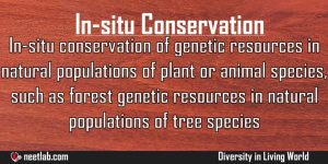 Insitu Conservation Diversity In Living World Explanation