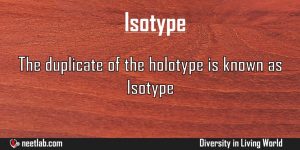 Isotype Diversity In Living World Explanation