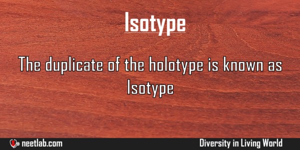 Isotype Diversity In Living World Explanation 