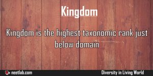 Kingdom Diversity In Living World Explanation