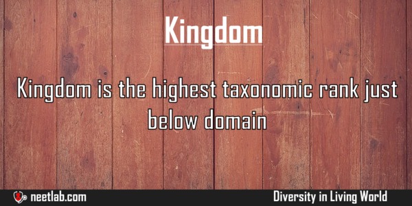 Kingdom Diversity In Living World Explanation 