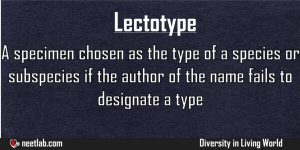 Lectotype Diversity In Living World Explanation