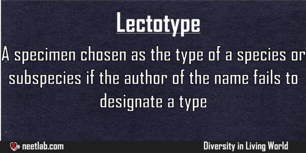 Lectotype Diversity In Living World Explanation 