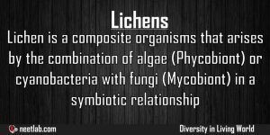 Lichens Diversity In Living World Explanation